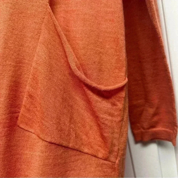 Eileen Fisher 100% Merino Wool Rust Orange Pocket Tunic Sweater PP/PTP or S/XS P - Picture 2 of 10